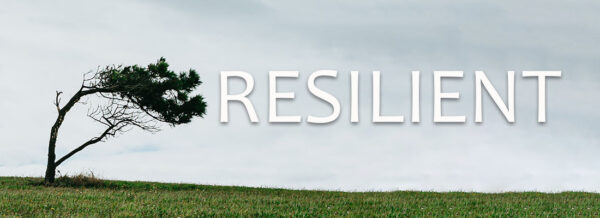 Resilient - Part 1 Image